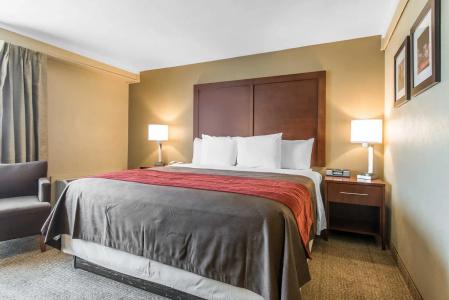 Comfort Inn Denver Central - 41