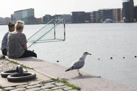 Copenhagen - 24