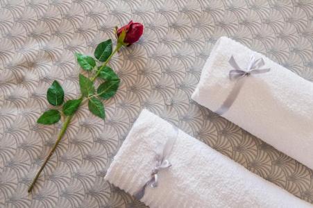 Bacco - 28