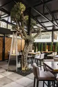 Canary Boutique - 11