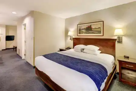 Comfort Inn - 40