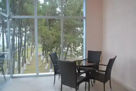 Солидарити - 15
