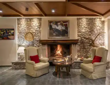 Domotel Anemolia Mountain Resort - 2