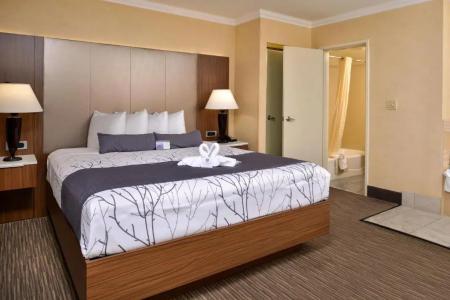 Best Western Hollywood Plaza Inn - Hollywood Walk Of Fame - La - 39