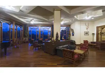 Bar Peepal - 1