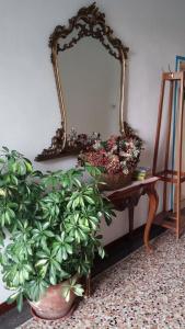 Venice Treviso Airport Bed - 25