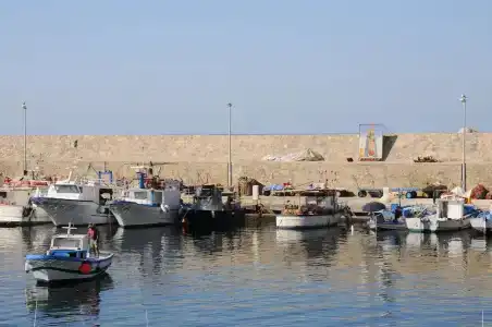 Sirenetta - 29
