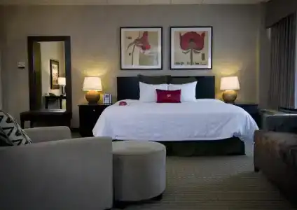Comfort Inn & Suites San Antonio Airport - 36