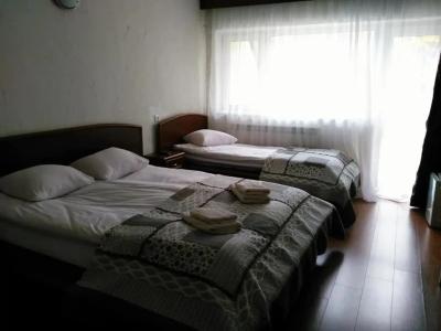 EcoRest - Likani Palace - 59