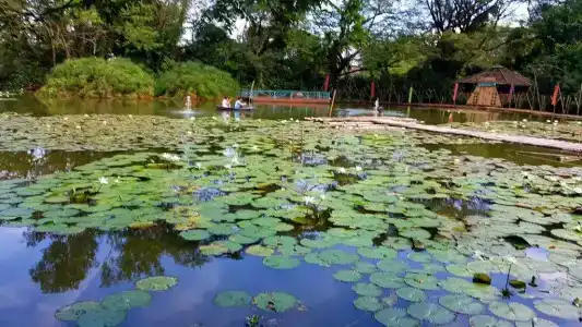 Saikaew Resort - 1