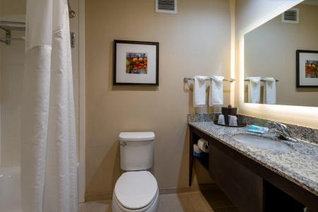 Holiday Inn Murfreesboro/Nashville, An Ihg - 7
