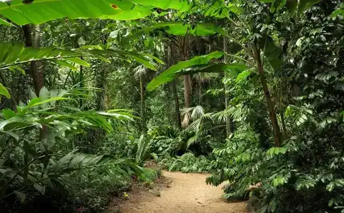 Cairns Aquarius - 17
