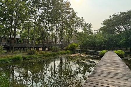 Karina Resort Chiang Mai - 14