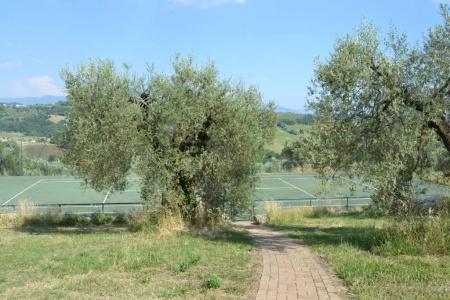 Tenuta Pizzogallo - 85