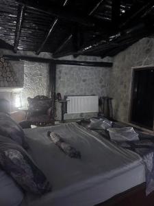 Heritage Cave Inn - 164