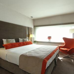 Recoleta Grand - 37
