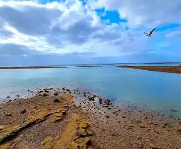 Miramar - 59