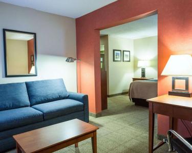 Comfort Inn Civic Center - 1