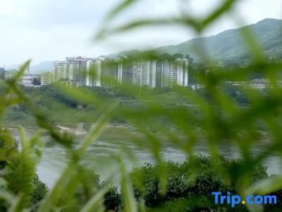 Wuyu (Chongqing Jinyun Mountain, Southwest University) - 46