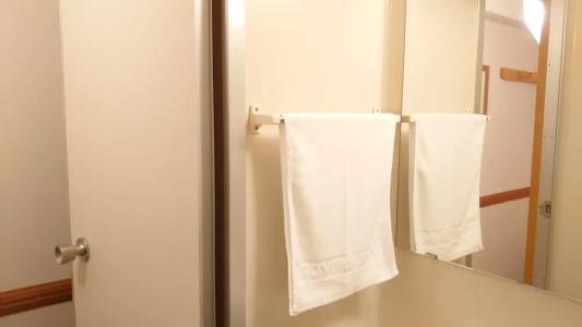 Toyoko Inn Temmonkan No.2 - 106