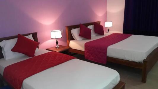New Rani Inn - 25