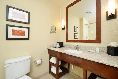 Comfort Suites Medical Center - 8
