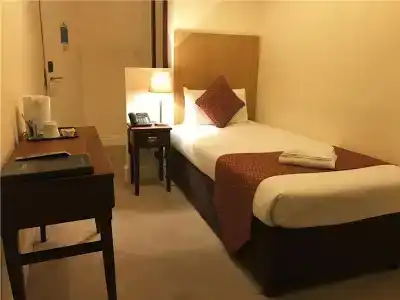 Oyo The Regency - 0