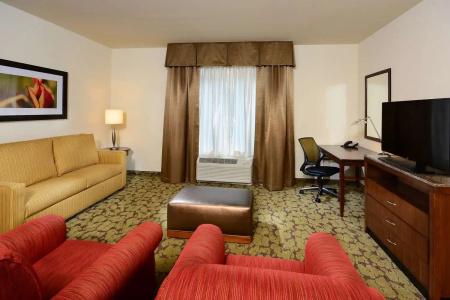 Hilton Garden Inn Airport - 91