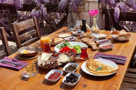 Vinifera Vineyards - 10