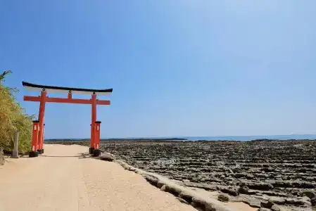 Ana Holiday Inn Resort Miyazaki, An Ihg - 41