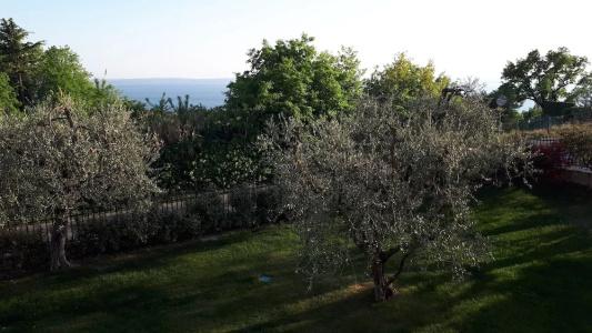 Agriturismo La Rocca - 109