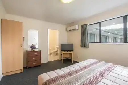 Albany Oak - 52