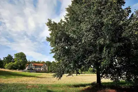 Sorell Zürichberg - 49