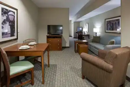 Homewood Suites by Hilton Mayo Clinic-St. Marys Campus - 98