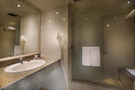 Pyramisa Suites Cairo - 42