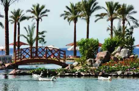 Movenpick Taba Resort & Spa - 25