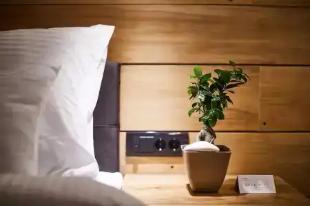 One Luxury Suites - 33