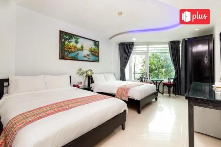 Saigon Pink 3 - 13