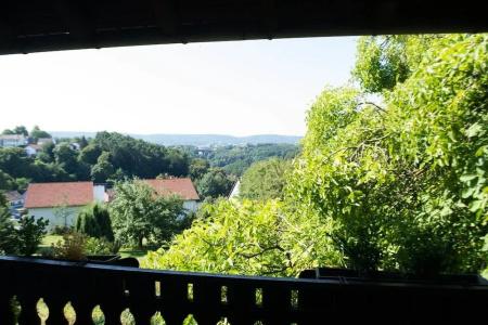 Hasselberg - 25