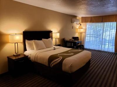 Quality Inn & Suites Vancouver - 55