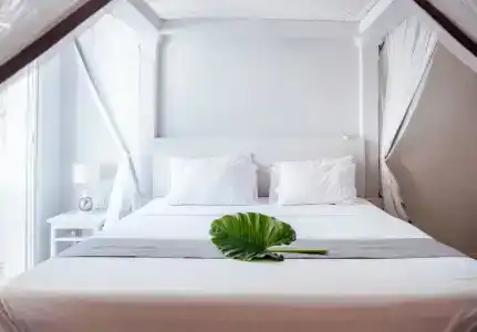 Paje Beach Apartments & - 2