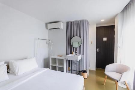 Chocolate box mint - 20