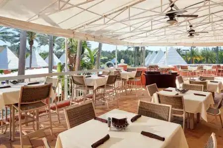 Hilton Grand Vacations Club SeaWorld Orlando - 24