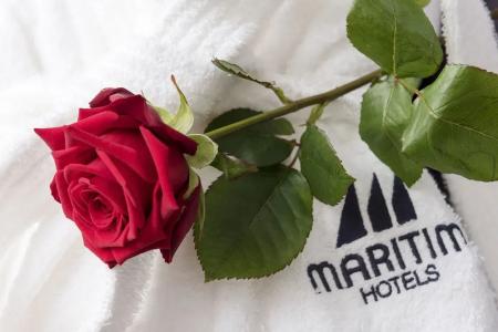 Maritim Dresden - 87
