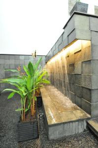 Clay Jakarta - 17