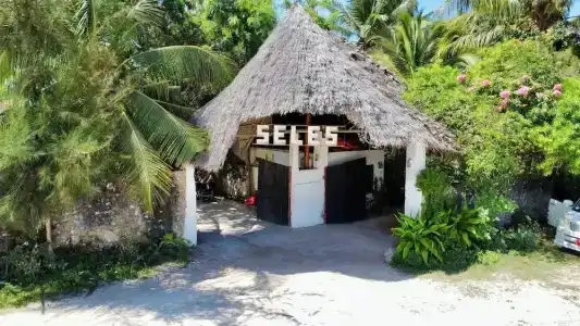 The Seles - 2