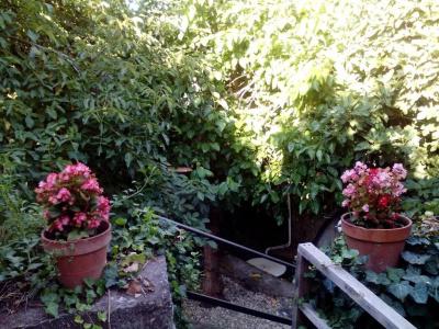 b&b Villa Lidia - 92