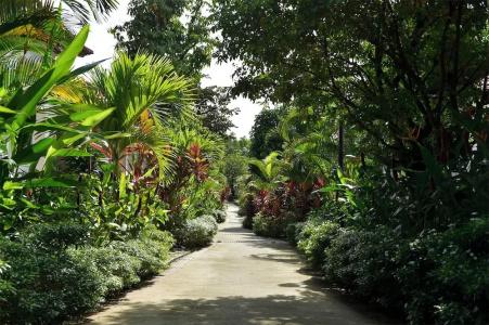 Rainforest Resort - 18