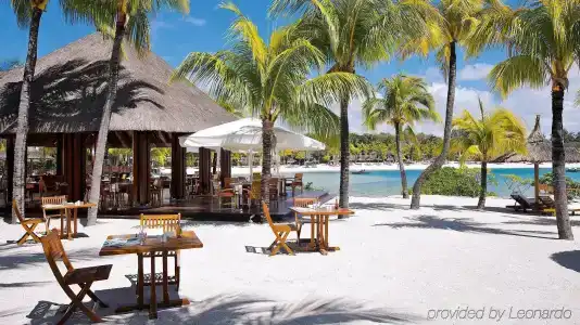 Tropical Attitude (Adults Only) - 7
