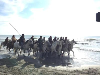 Les Palmiers En Camargue - 11